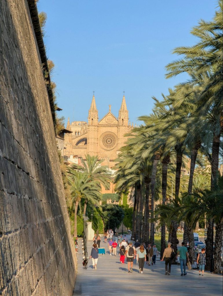 Palm-lined walkway near Palma Cathedral Mallorca