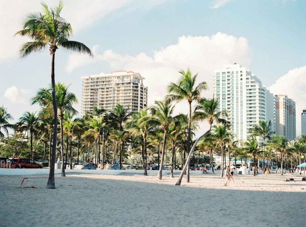 Miami Beach skyline with palm trees and sandy shore